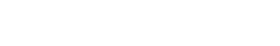 InsightAssist